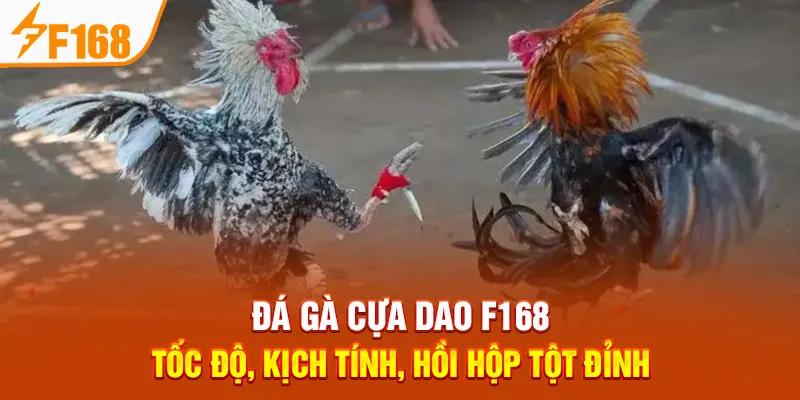 Đá Gà Cựa Dao F168 – Tốc Độ, Kịch Tính, Hồi Hộp Tột Đỉnh